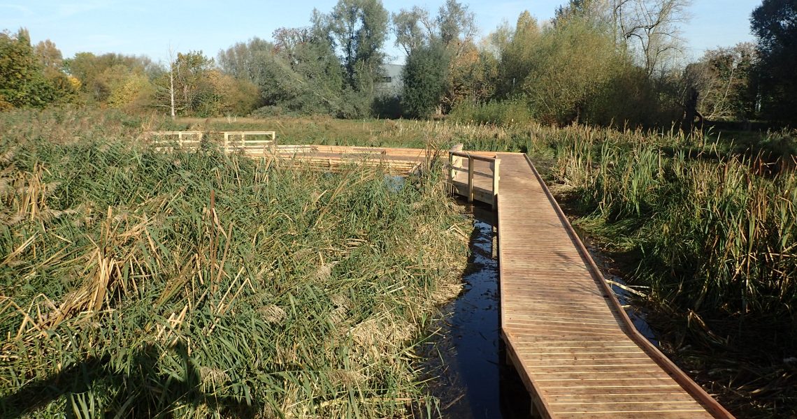 05 morden hall park 250m oak and larch boardwalk nature walk with viewing platforms national trust property