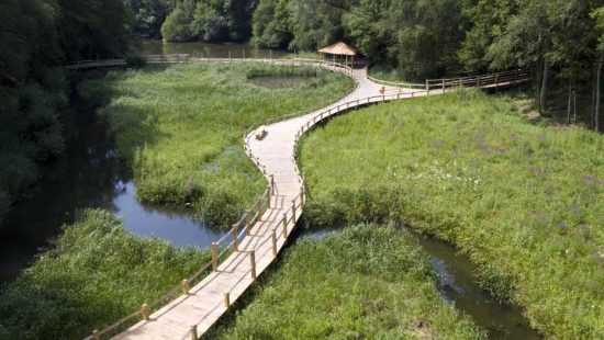 bridge kew wakehurst oak wetland boardwalk