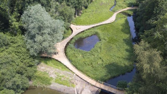 front kew wakehurst oak wetland boardwalk