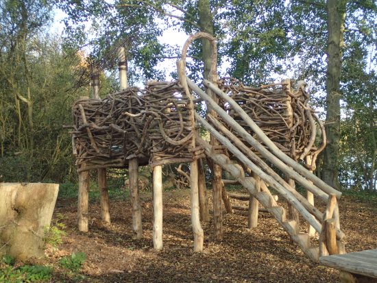 herons nest play