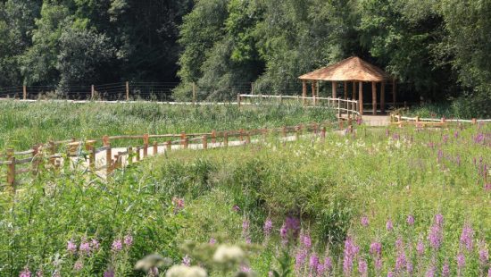pergola kew wakehurst oak wetland boardwalk