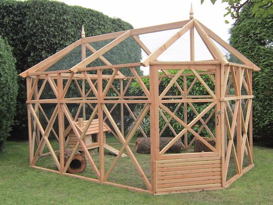 rabbit hutch pergola in garden